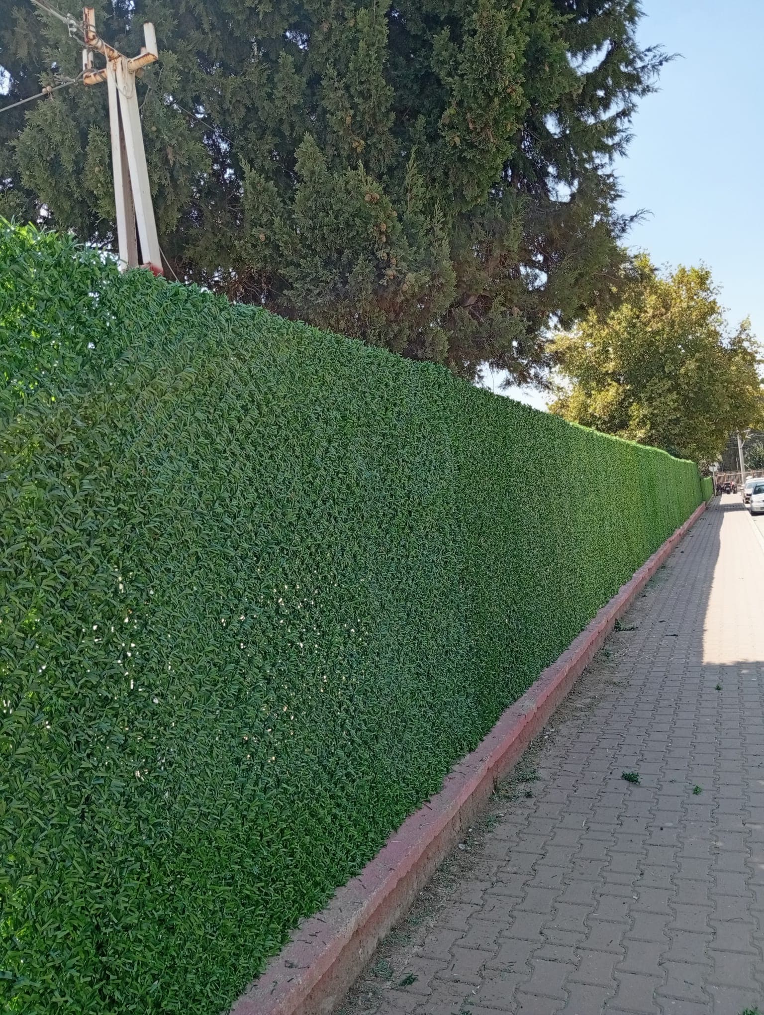 Çim Çit Uygulaması görsel 9
